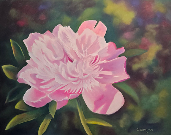 Pastel flower drawing by Carol Corliss